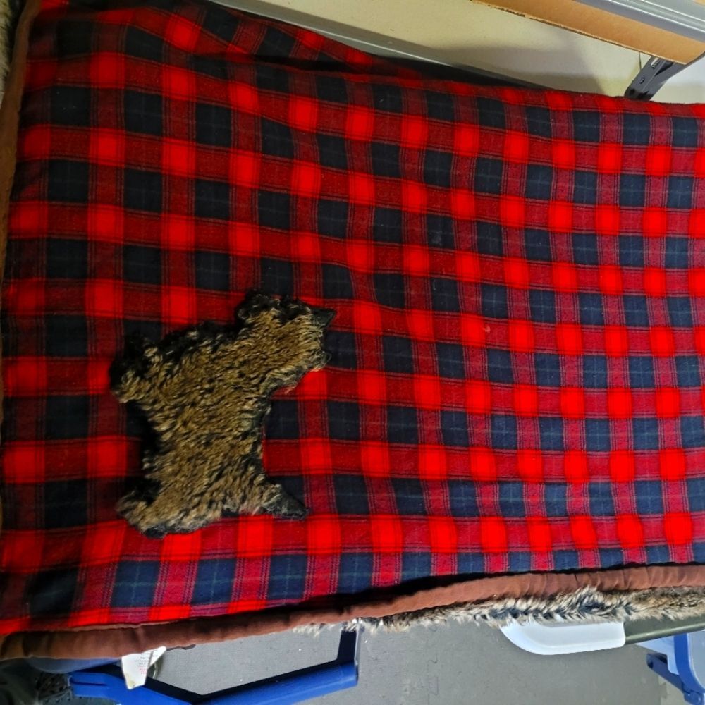 Cozy Furry Dog Printed Red and Blue Patterned Comfortable Soft blanket - Picture 1 of 5